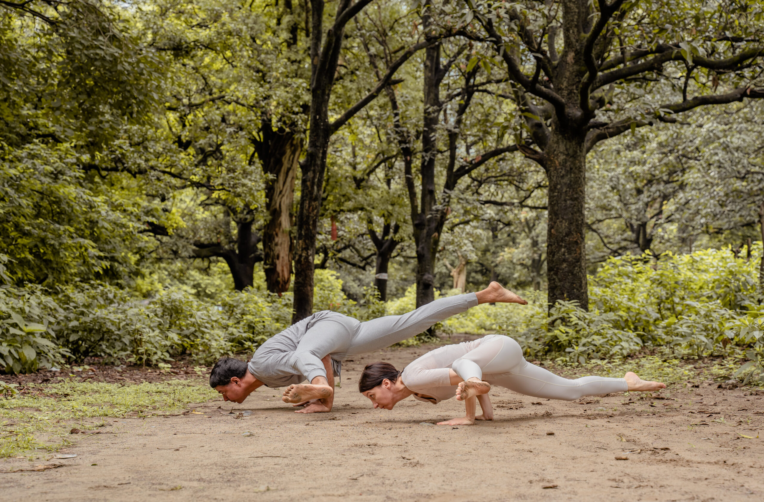 yoga teacher training